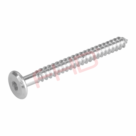 Wafer Screws