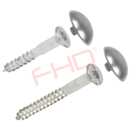 Mirror Screws