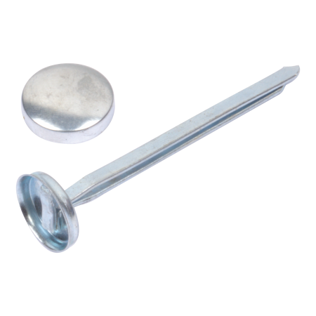 Pronged Button And Washer