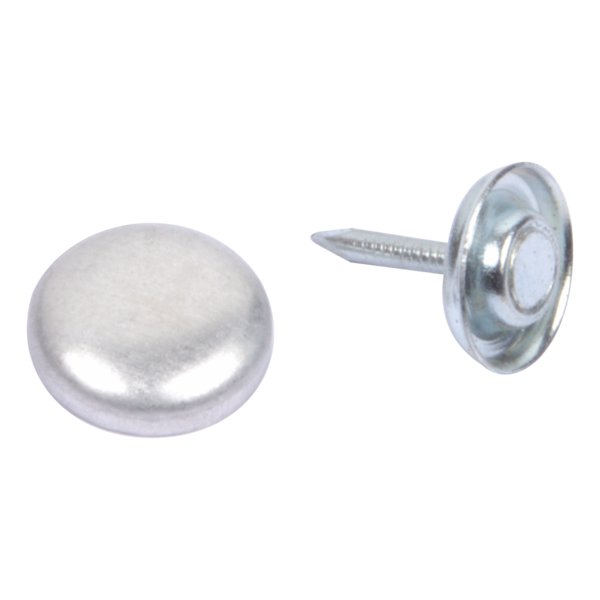 Upholstery Nail And Top